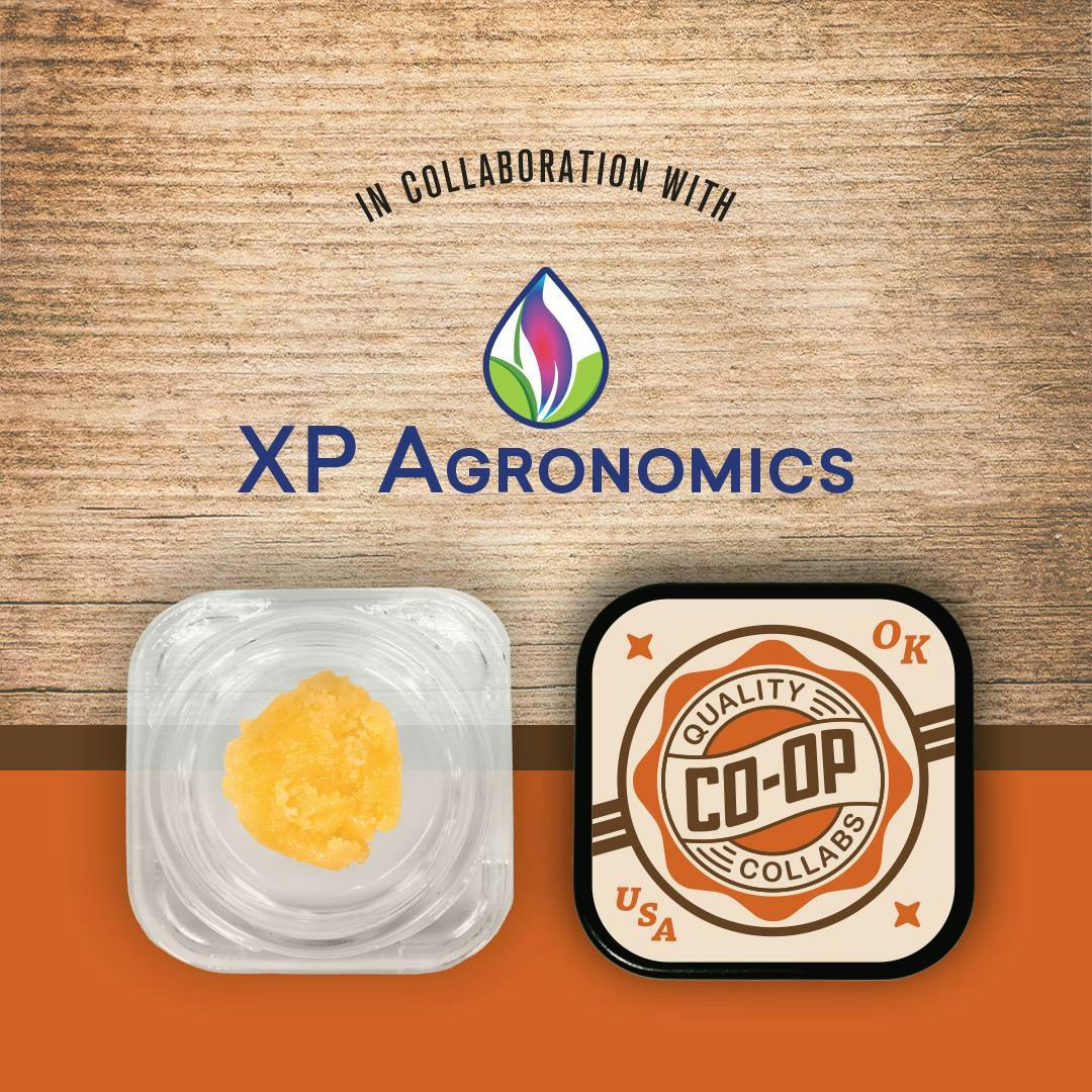 Co-op Collabs - CO-OP x XP Agronomics | Purple Runtz | Badder | 2g - 1