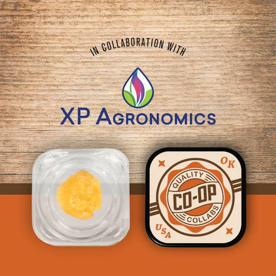 Co-op Collabs - CO-OP x XP Agronomics | Wedding Crasher | Badder | 2g - 1