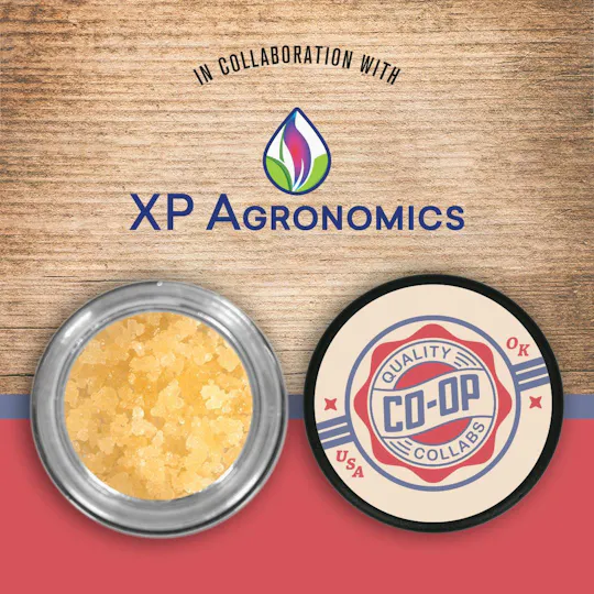 Co-op Collabs - CO-OP x XP Agronomics | Gelato King | Sugar | 10g - 1