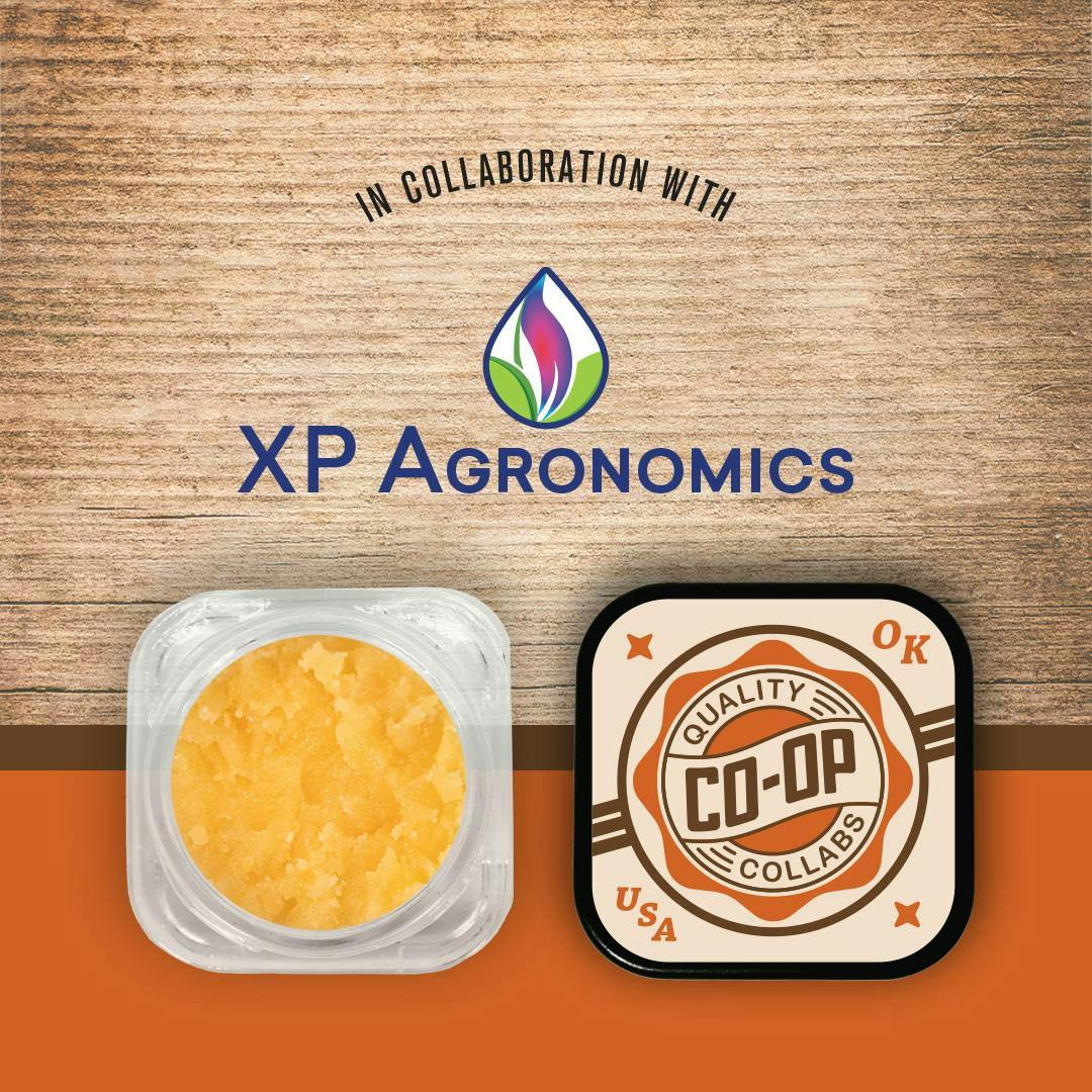 Co-op Collabs - CO-OP x XP Agronomics | Purple Runtz | Badder | 4g - 1