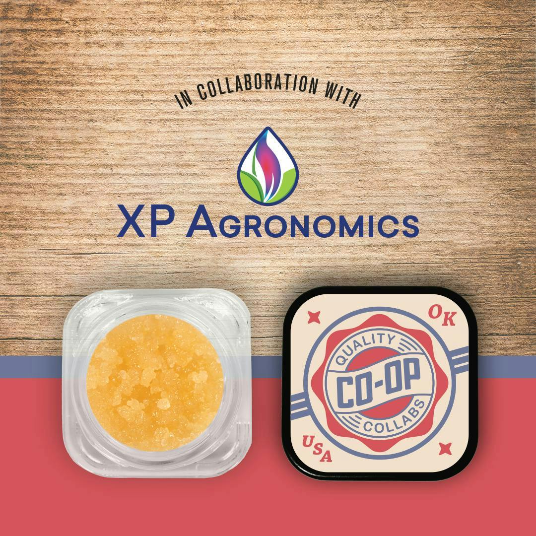Co-op Collabs - CO-OP x XP Agronomics | Gelato King | Sugar | 4g - 1