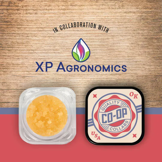 Co-op Collabs - CO-OP x XP Agronomics | Gelato King | Sugar | 4g - 1