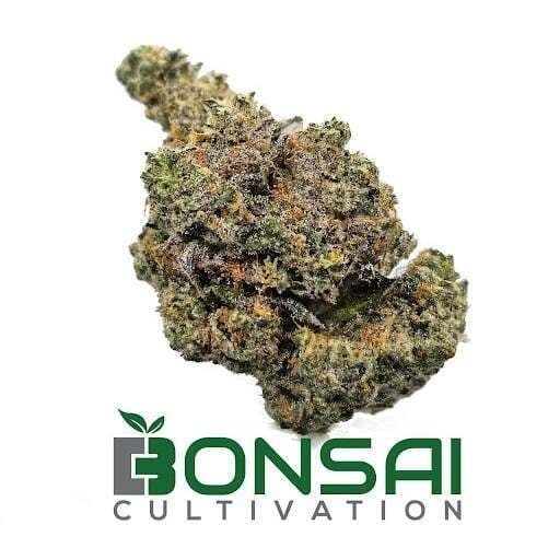 Bonsai Cultivation - Bonsai Cultivation | Frozen Grapes | Flower - 1