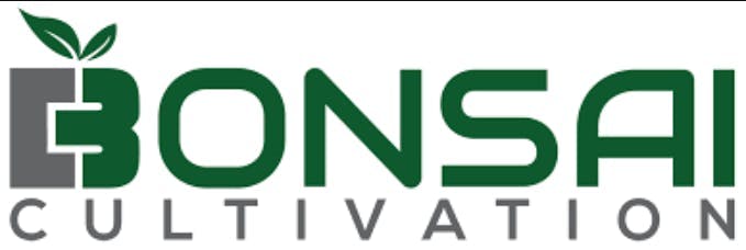 Bonsai Cultivation - Bonsai Cultivation | Blue Suede | Flower - 1