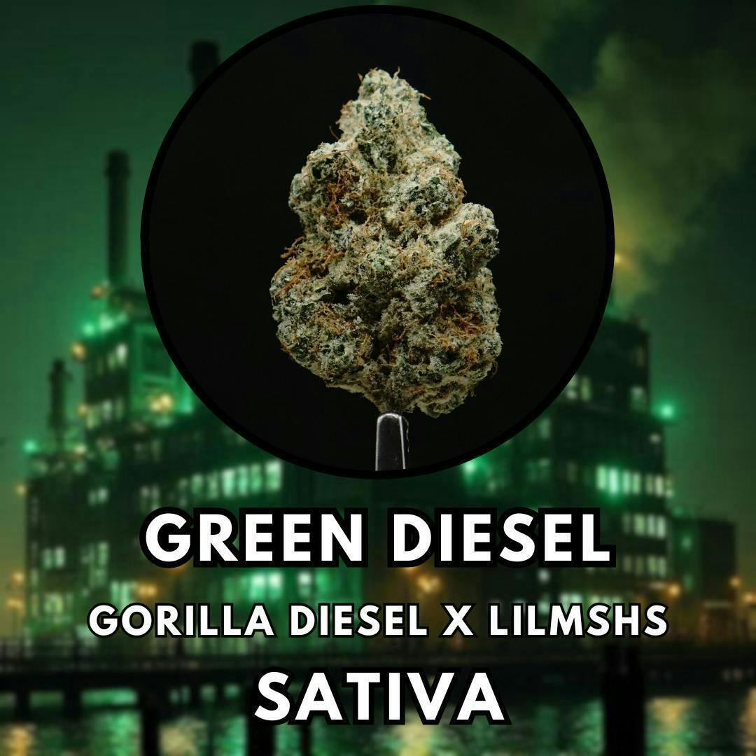 Bonsai Cultivation - Bonsai Cultivation | Green Diesel | Flower - 1