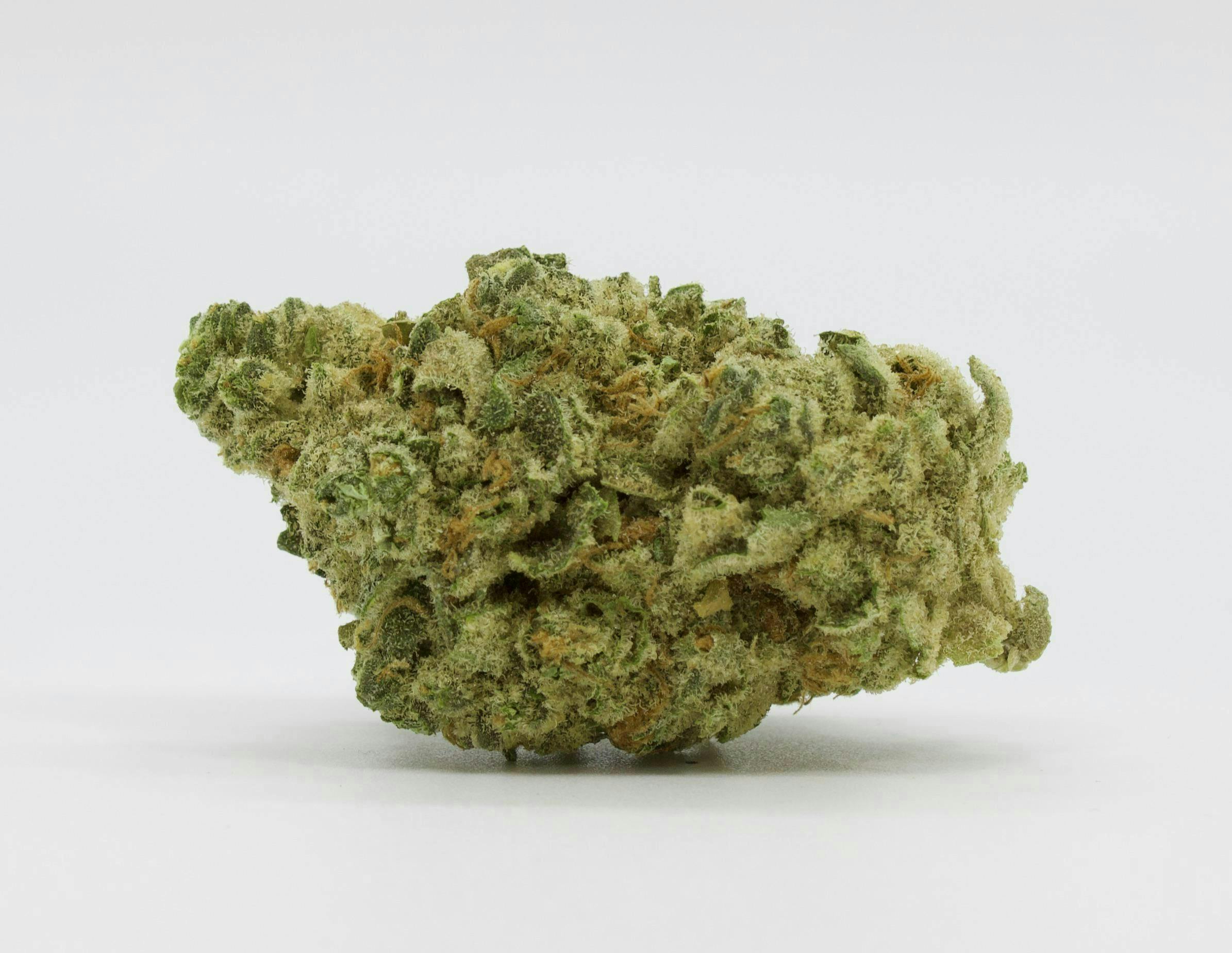 Sticky - Sticky | Oreo Blizzard | Big Buds | 7g - 1