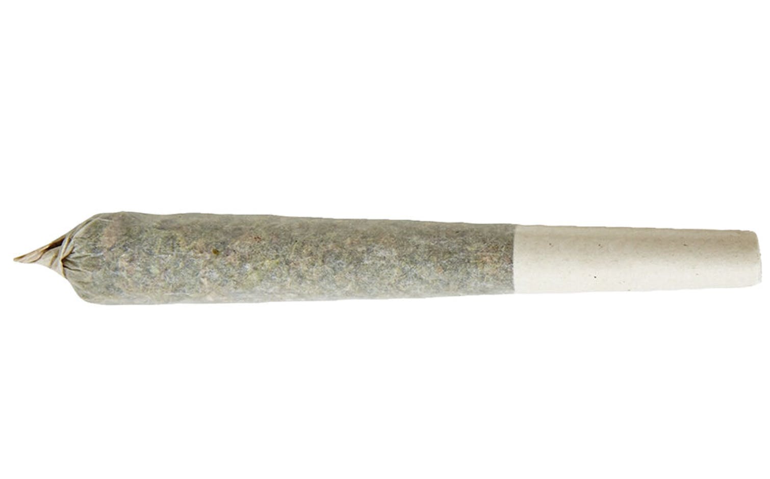 Kaprikorn - Kaprikorn | 8 Inch Bagel | Mini | .5g - 1