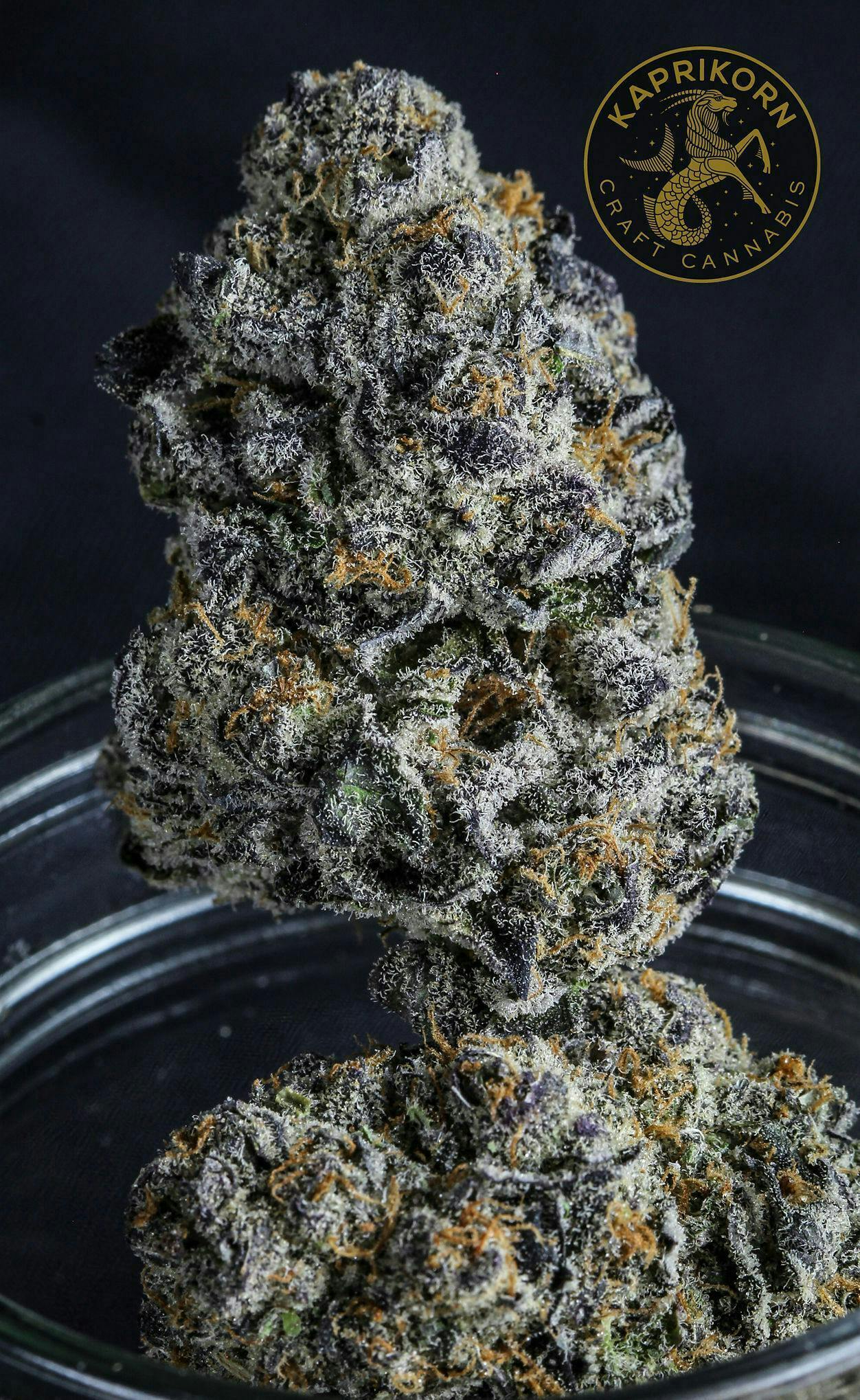 Kaprikorn - Kaprikorn | Mac N Jack | Big Buds | 7g - 1