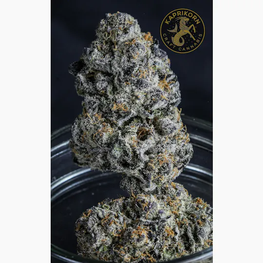 Kaprikorn - Kaprikorn | Melted Strawberries | Flower - 1