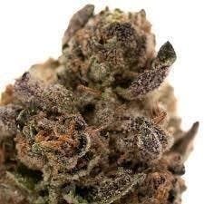 Sticky - Sticky | Rainbow Gelato | Big Buds | 3.5g - 1