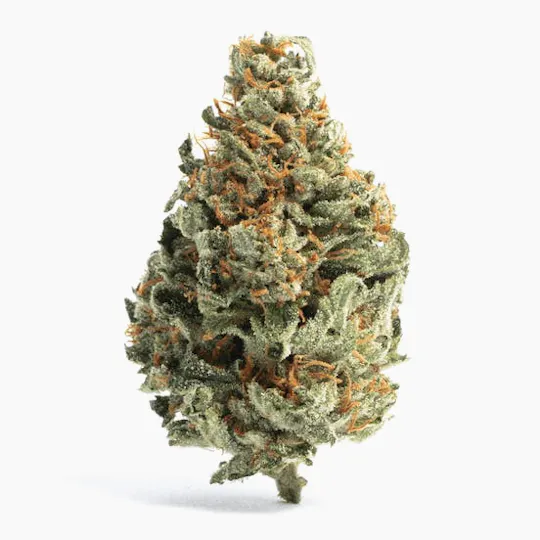 Sticky - Sticky | Crash Out | Big Buds | 7g - 1