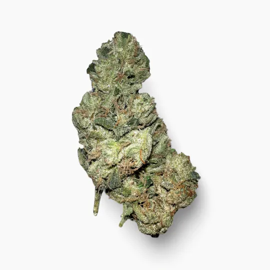 Indico - Sour Diesel - Indico - 1