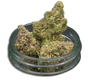 Midzotics - Midzotics | Strawberry Banana | Big Buds | 28g - 1