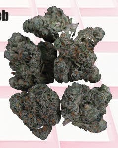 Midzotics - Midzotics | Gushers x Runtz | Big Buds | 28g - 1