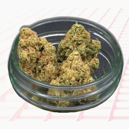 Midzotics - Midzotics | Orange Popsicle | Big Buds | 28g - 1