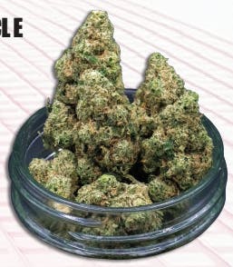 Midzotics - Midzotics | Purple Cake | Big Buds | 28g - 1