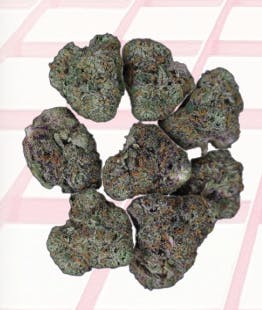 Midzotics - Midzotics | Dark Web | Big Buds | 14g - 1