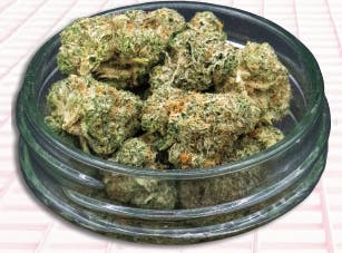 Midzotics - Midzotics | Golden Wonka Bars | Big Buds | 28g - 1