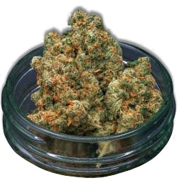 Midzotics - Midzotics | Jack Herer | Big Buds | 28g - 1