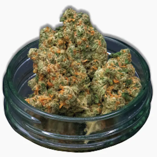 Midzotics - Midzotics | Jack Herer | Big Buds | 28g - 1