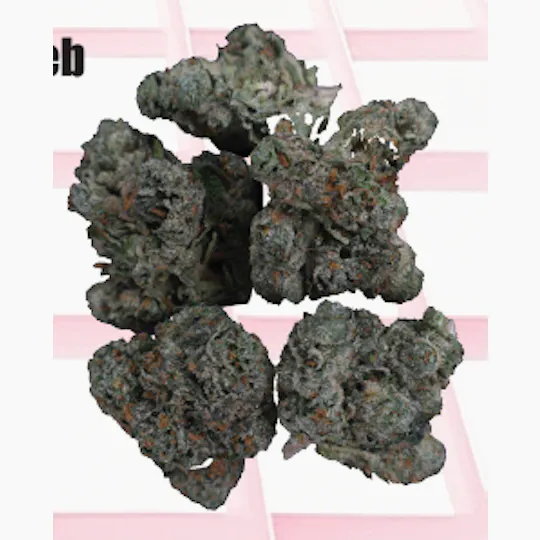 Midzotics - Midzotics | Gushers x Runtz | Big Buds | 1g - 1