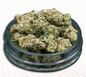 Midzotics - Midzotics | Garlic Cookies | Big Buds | 28g - 1