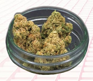 Midzotics - Midzotics | Orange Popsicle | Big Buds | 28g - 1