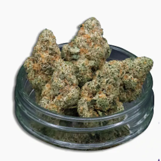 Midzotics - Midzotics | Divorce Cake | Big Buds | 28g - 1