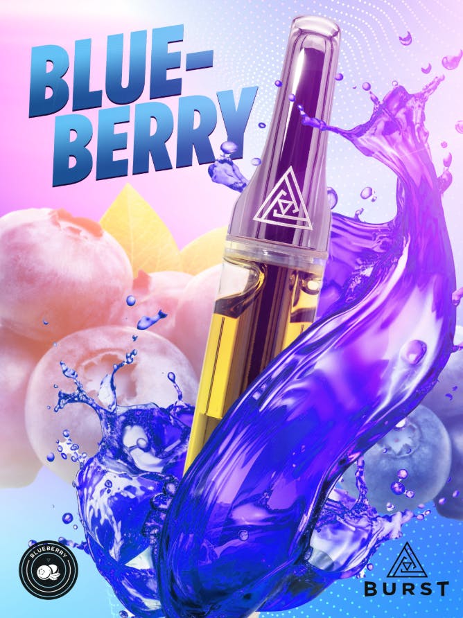 Pyramid - Pyramid | Blueberry | Burst Cartridge | 1g - 1