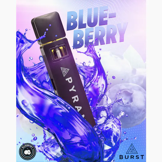Pyramid - Pyramid | Blueberry | Burst Disposable | 1g - 1