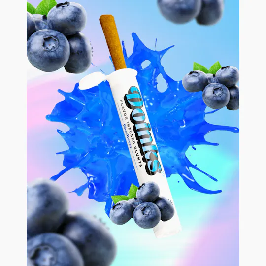 Doinks (CO) - Doinks | Blueberrry | Infused Blunt | 1g - 1