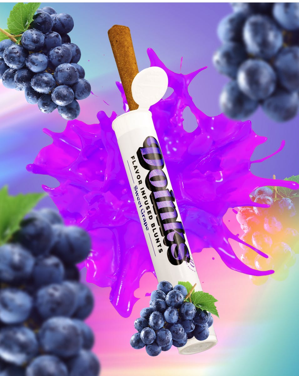 Doinks (CO) - Doinks | Sweet Grape | Infused Blunt | 1g - 1