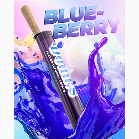 Doinks (CO) - Doinks | Blueberry | Infused Joint | 1g - 1