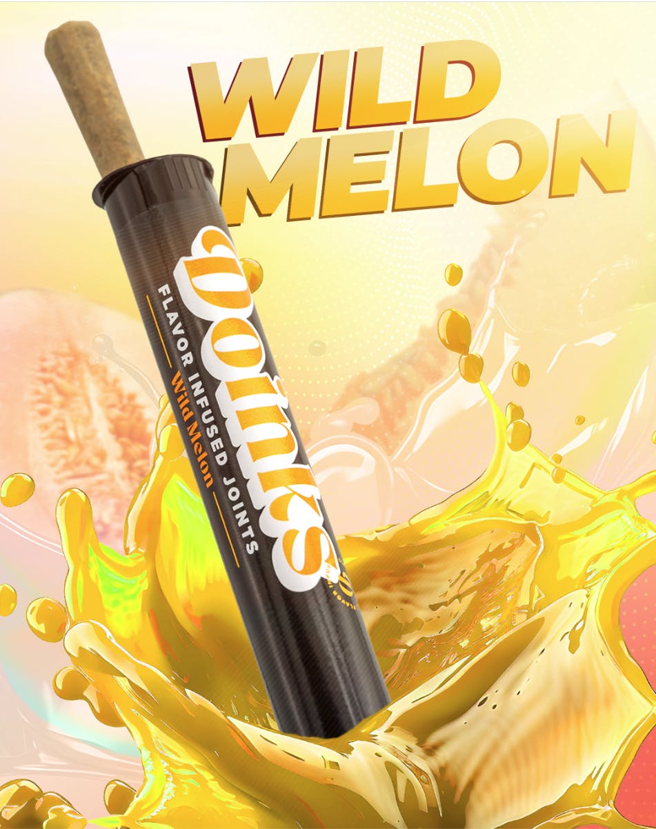 Doinks (CO) - Doinks | Wild Melon | Infused Joint | 1g - 1