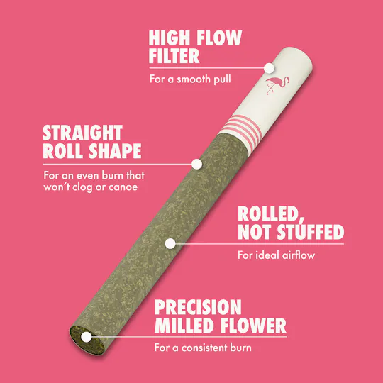 Birdies - Birdies | Classic Sativa | Joint | 0.7g each | 2pk - 1