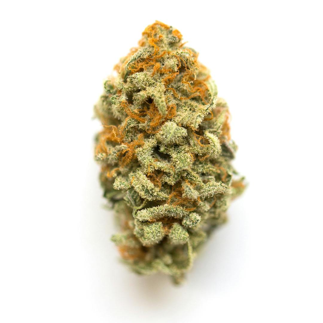 Rex's Remedies - Rex's Remedies | Strawberry Gary | Big Buds | 3.5g - 1