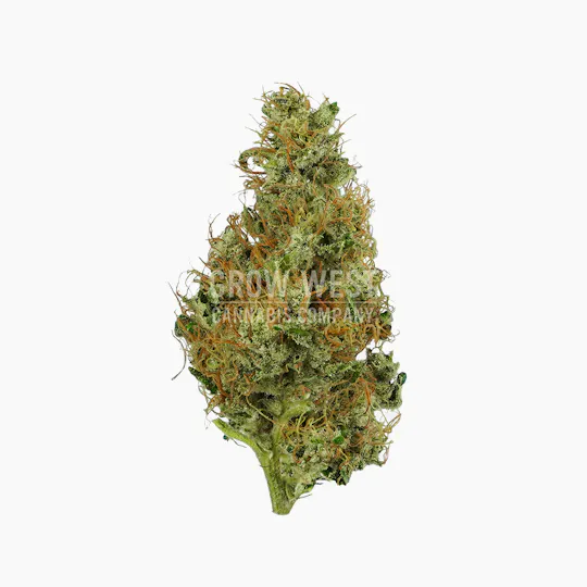 Grow West Cannabis Company - Kalashnikova | Premium | Hand-Trimmed Flower | 7g - 1