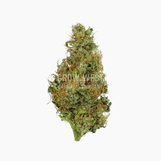 Grow West Cannabis Company - Kalashnikova | Gold | Trimmed Flower | 7g - 1