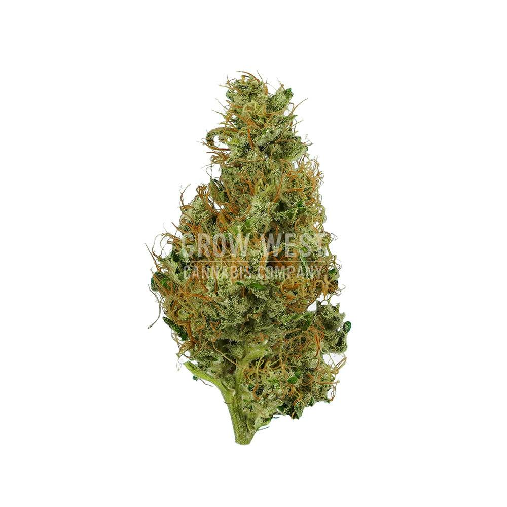 Grow West Cannabis Company - Kalashnikova | Gold | Trimmed Flower | 14g - 1
