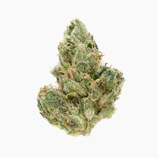 Rex's Remedies - Rex's Remedies | Lemon Gas | Flower - 1