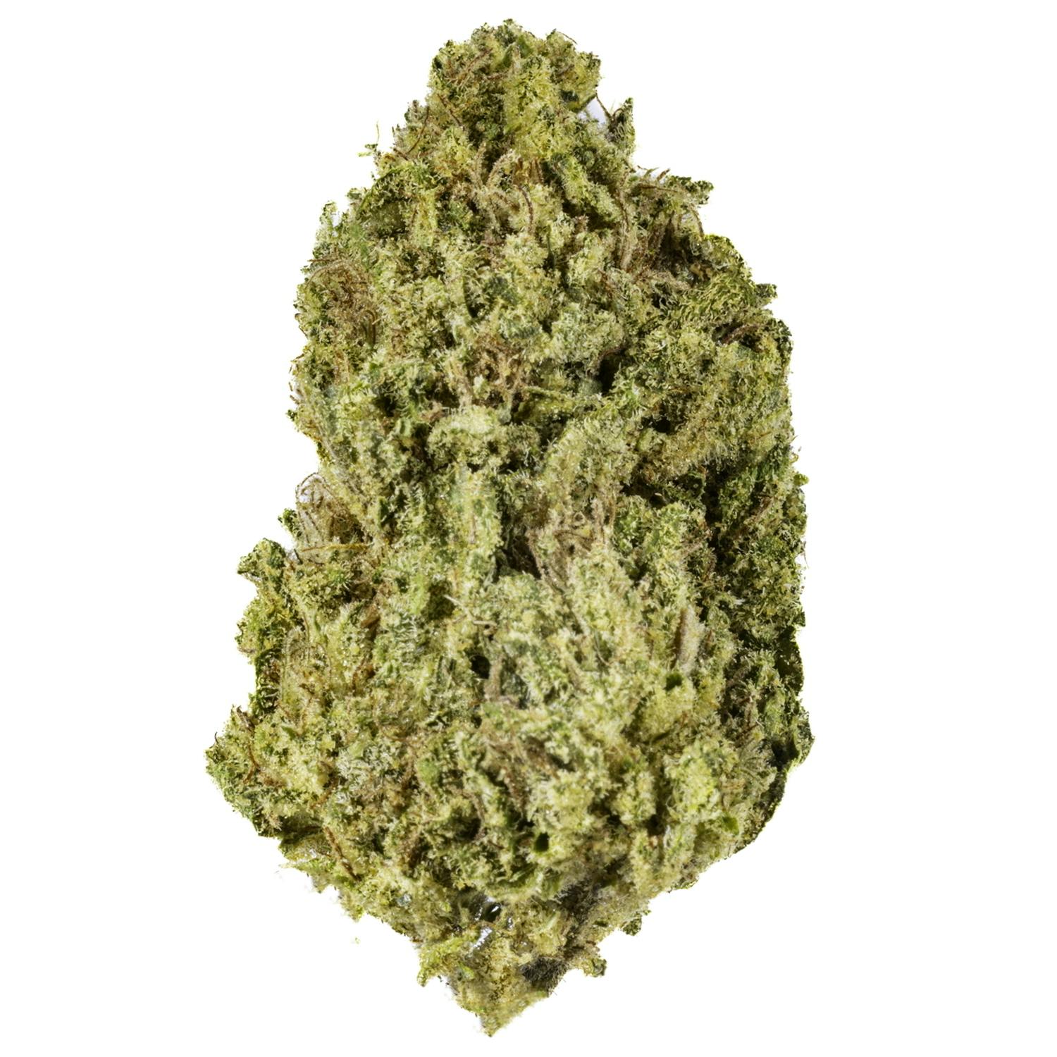 West Coast Cure - Honeydew - 14G Premium Flower - 1