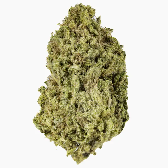 West Coast Cure - Honeydew - 28G Premium Flower - 1