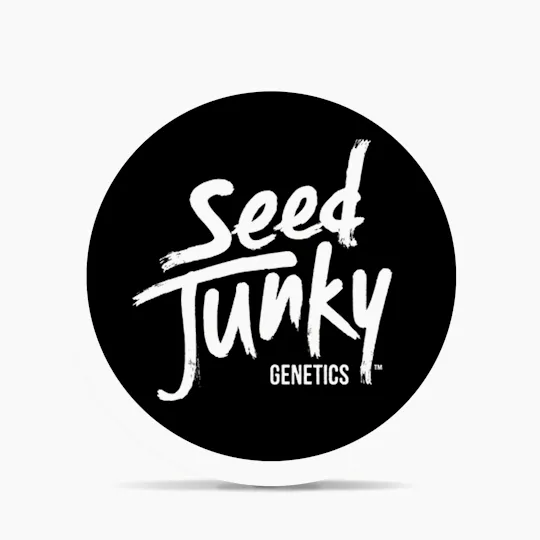 Seed Junky - Seed Junky | Banana Jelly | Minis | 0.5g each | 7pk - 1