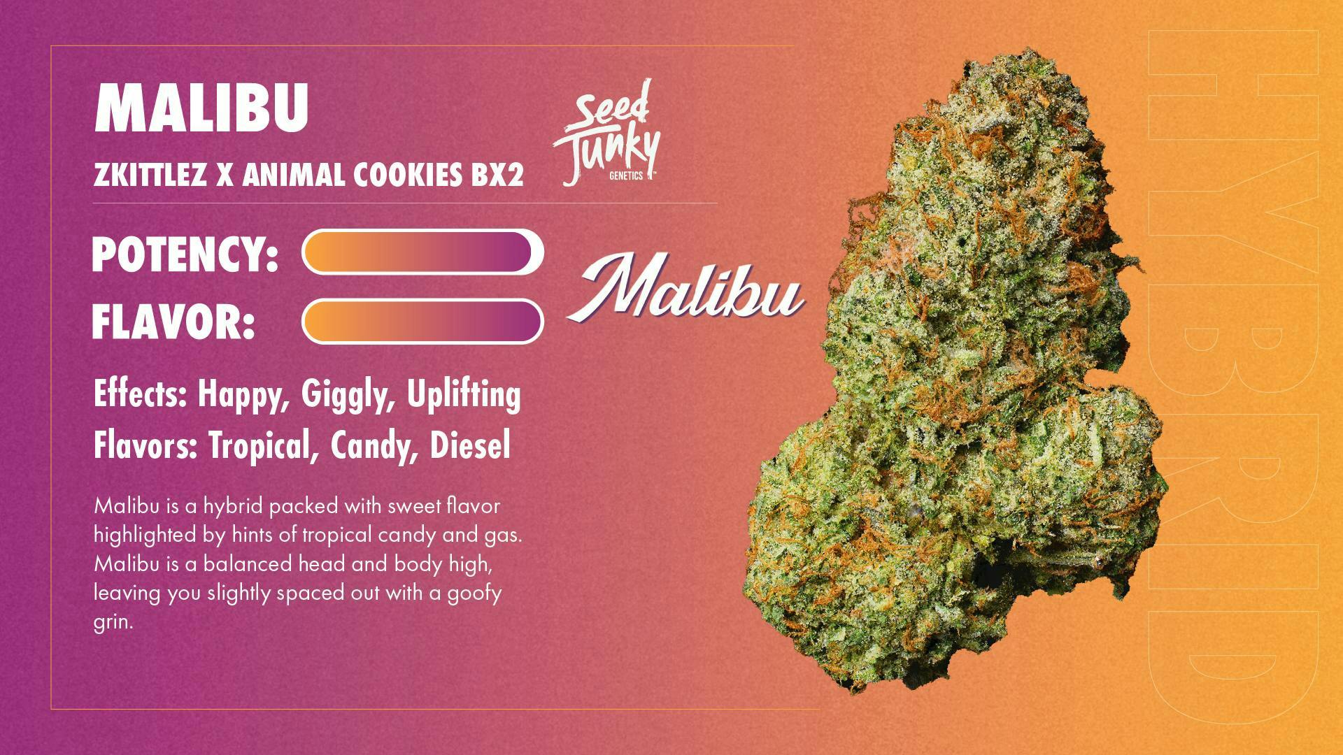 Seed Junky - Seed Junky | Malibu | Joints | 1g each | 4pk - 1