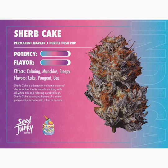 Seed Junky - Seed Junky | Sherb Cake | Minis | 0.5g each | 7pk - 1