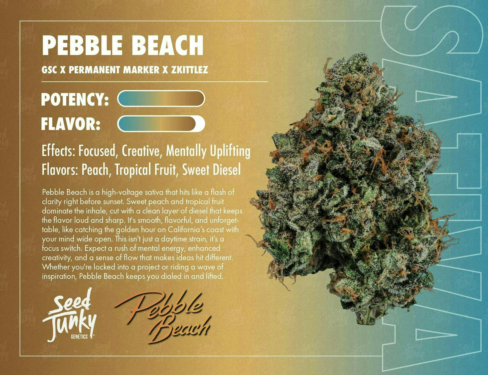 Seed Junky - Seed Junky | Pebble Beach | Big Buds | 3.5g - 1