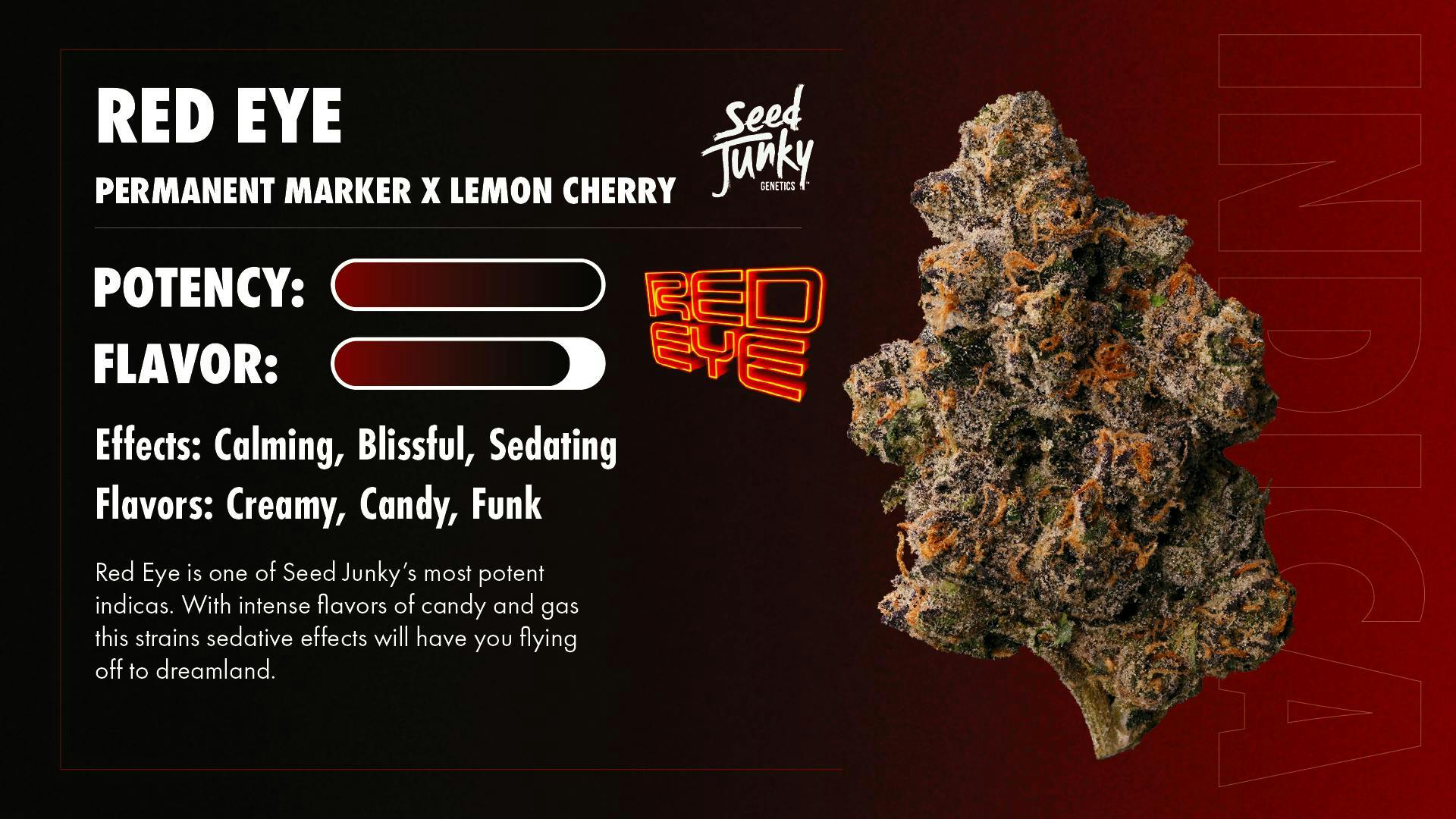 Seed Junky - Seed Junky | Red Eye | Big Buds | 7g - 1