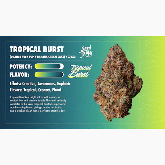 Seed Junky - Seed Junky | Tropical Burst | Minis | 0.5g each | 7pk - 1