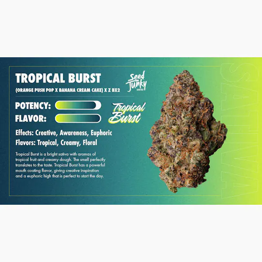 Seed Junky - Tropical Burst | Minis | 0.5g each | 7pk - 1