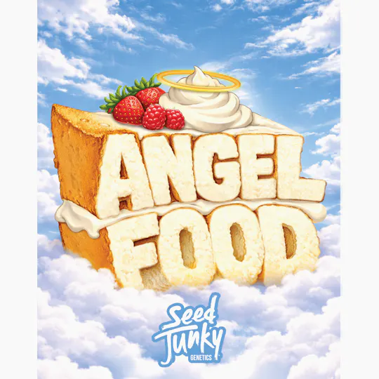 Seed Junky - Seed Junky | Angel Food | Big Buds | 7g - 1